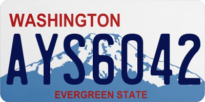 WA license plate AYS6042