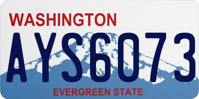 WA license plate AYS6073