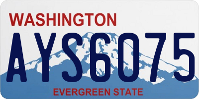 WA license plate AYS6075