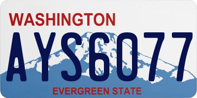 WA license plate AYS6077