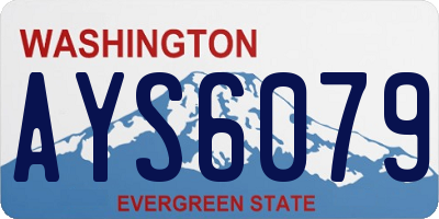 WA license plate AYS6079