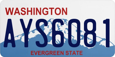 WA license plate AYS6081