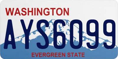 WA license plate AYS6099