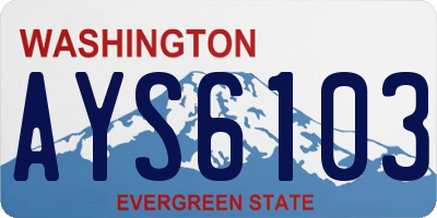 WA license plate AYS6103