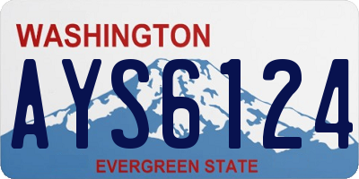 WA license plate AYS6124