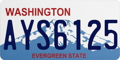 WA license plate AYS6125