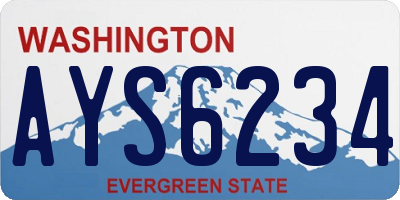 WA license plate AYS6234