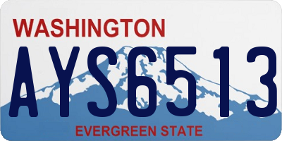 WA license plate AYS6513