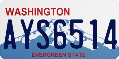 WA license plate AYS6514