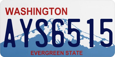 WA license plate AYS6515