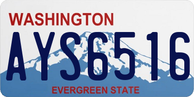 WA license plate AYS6516