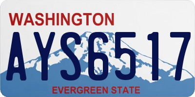 WA license plate AYS6517