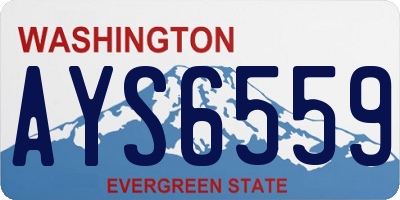 WA license plate AYS6559