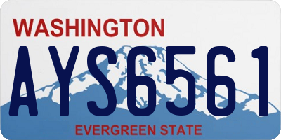 WA license plate AYS6561