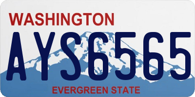 WA license plate AYS6565