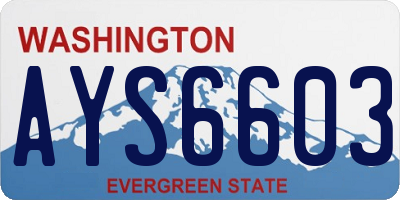 WA license plate AYS6603