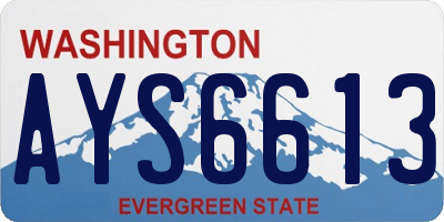 WA license plate AYS6613