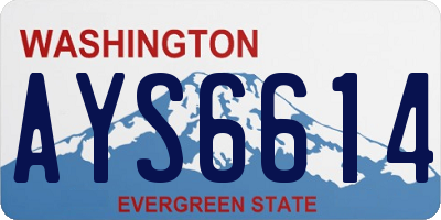 WA license plate AYS6614