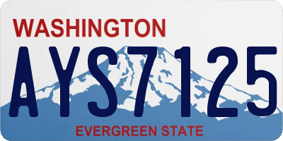 WA license plate AYS7125