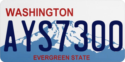 WA license plate AYS7300