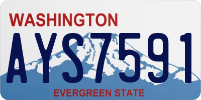 WA license plate AYS7591