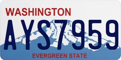 WA license plate AYS7959