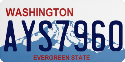 WA license plate AYS7960