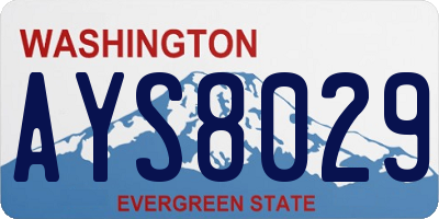 WA license plate AYS8029