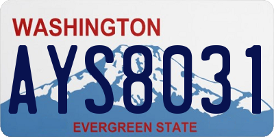 WA license plate AYS8031