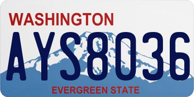 WA license plate AYS8036