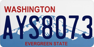 WA license plate AYS8073