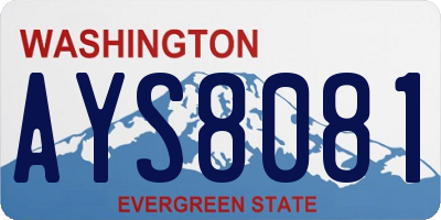 WA license plate AYS8081