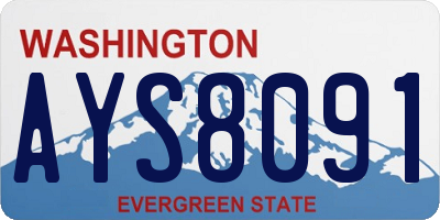 WA license plate AYS8091