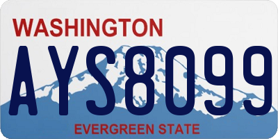 WA license plate AYS8099