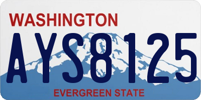 WA license plate AYS8125