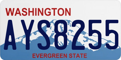 WA license plate AYS8255