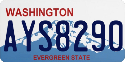 WA license plate AYS8290