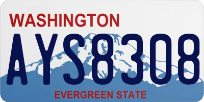 WA license plate AYS8308