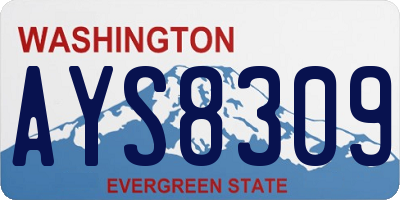 WA license plate AYS8309