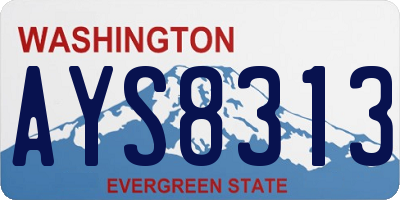 WA license plate AYS8313