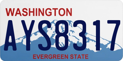 WA license plate AYS8317
