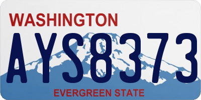 WA license plate AYS8373