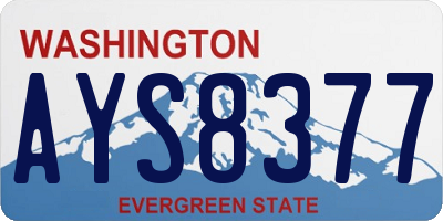 WA license plate AYS8377