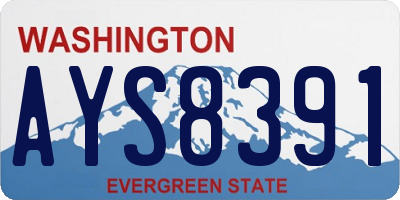 WA license plate AYS8391