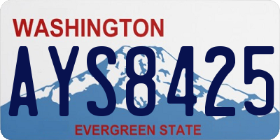 WA license plate AYS8425