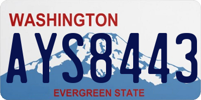 WA license plate AYS8443