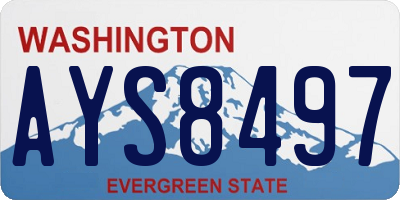 WA license plate AYS8497