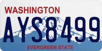 WA license plate AYS8499