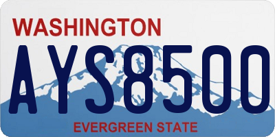 WA license plate AYS8500