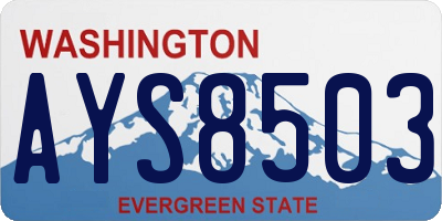 WA license plate AYS8503